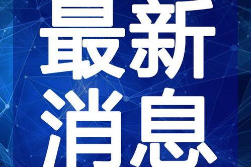 欧洲议员爆料新闻视频大全,揭秘新闻视频背后的真相与内幕