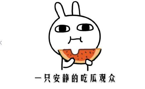 等着吃瓜是什么意思,揭秘网络热词背后的娱乐文化现象